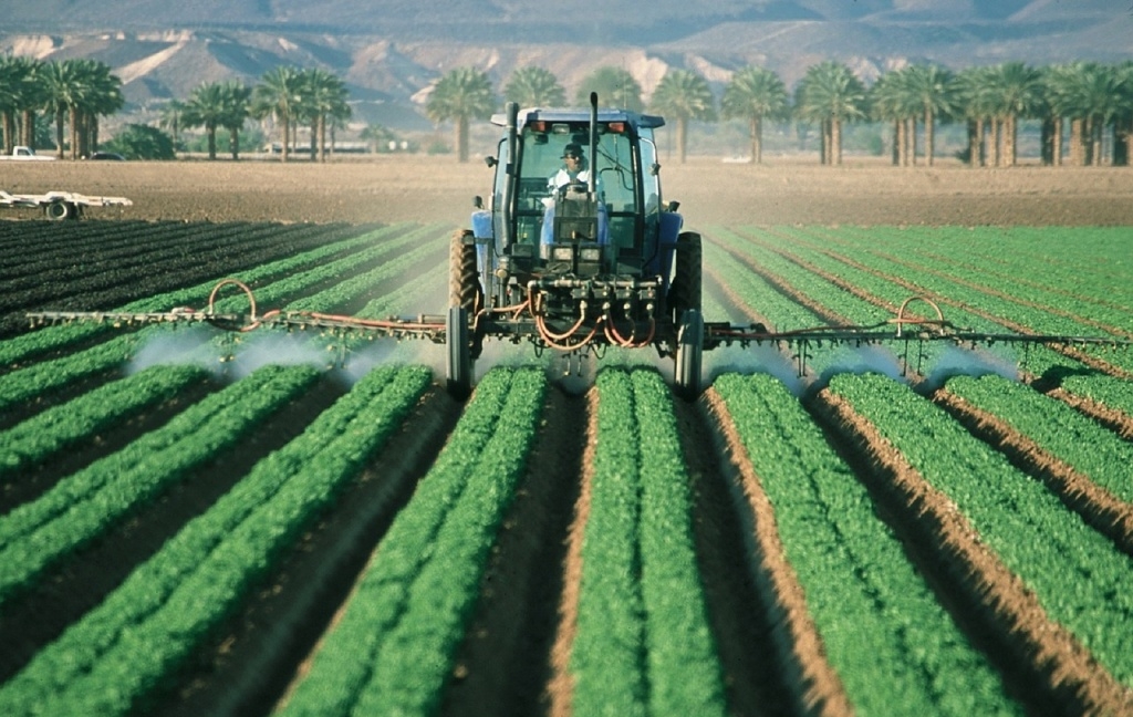 Water use and Food perception at the Market